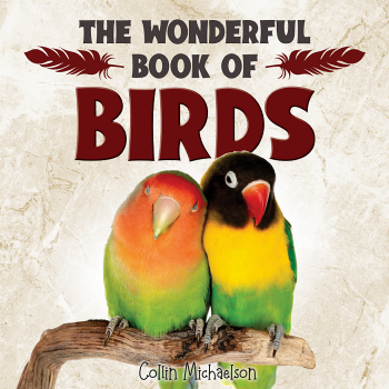 The Wonderful Book of Birds