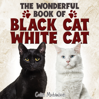 The Wonderful Book of Black Cat White Cat